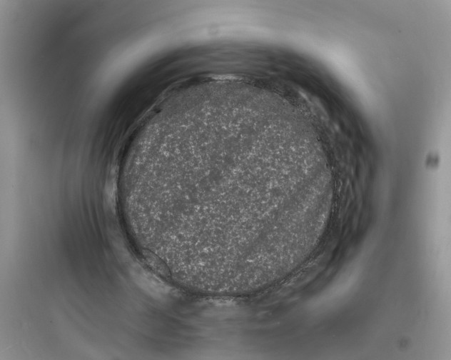 X0000097620194200803211753