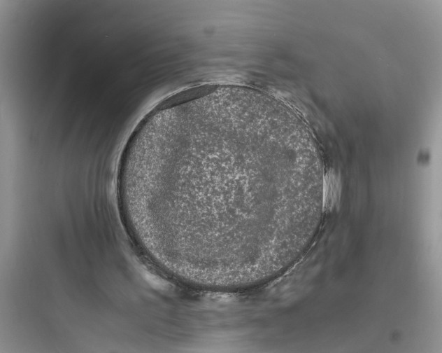 X0000097620195200803211753