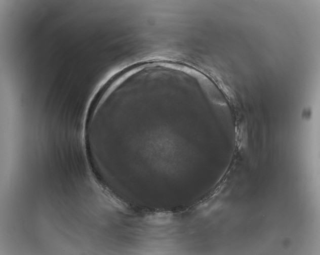 X0000097620196200803211753