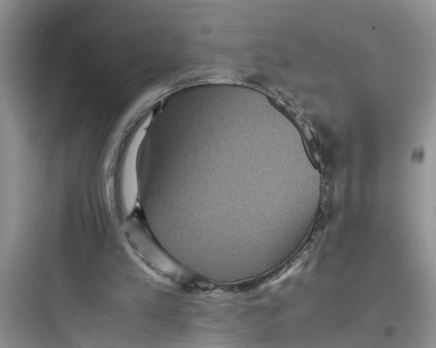 X0000097620197200803211753