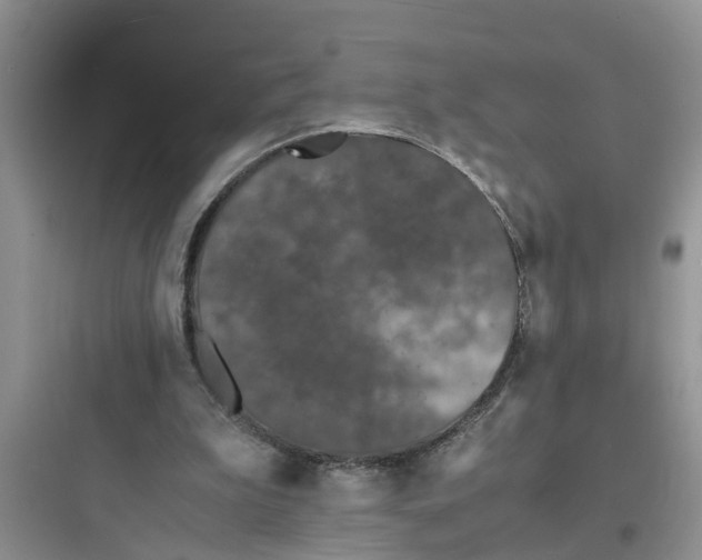 X0000097620199200803211753