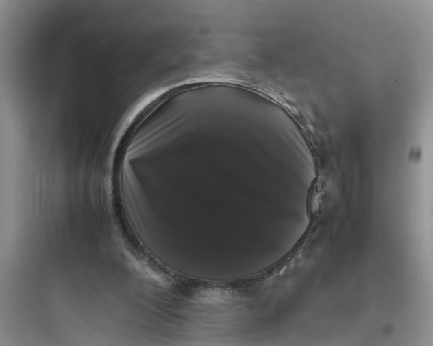 X0000097620200200803211753