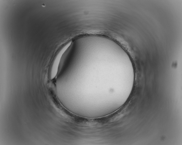 X0000097620201200803211753