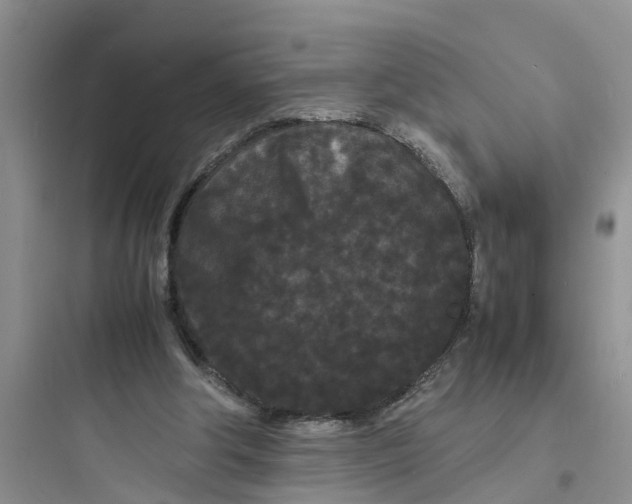 X0000097620202200803211753