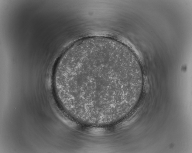 X0000097620203200803211753