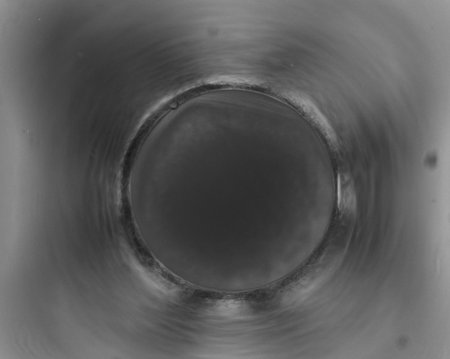 X0000097620204200803211753
