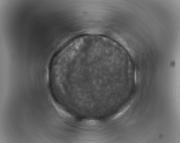 X0000097620205200803211753