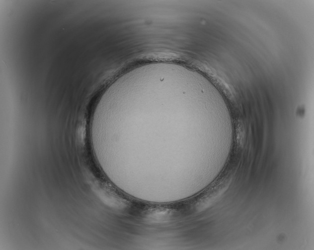 X0000097620206200803211753