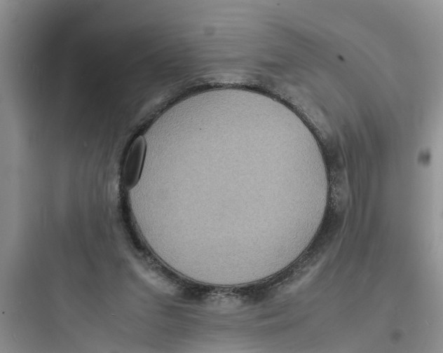 X0000097620207200803211753