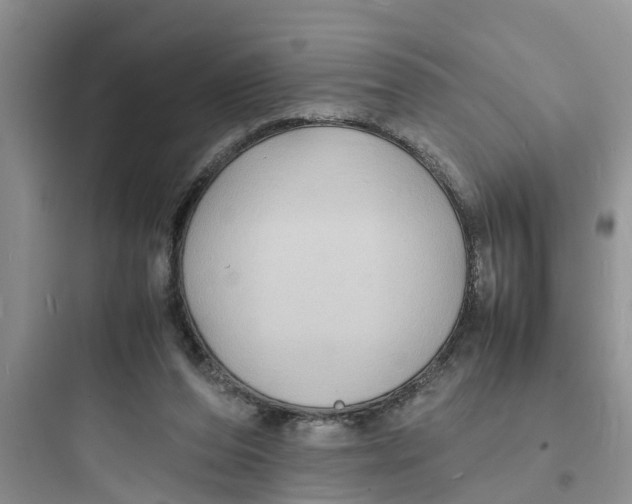 X0000097620208200803211753