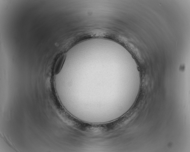 X0000097620209200803211753