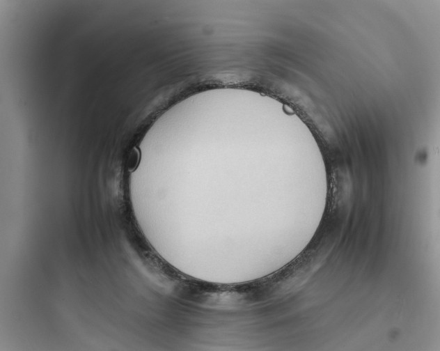 X0000097620212200803211753