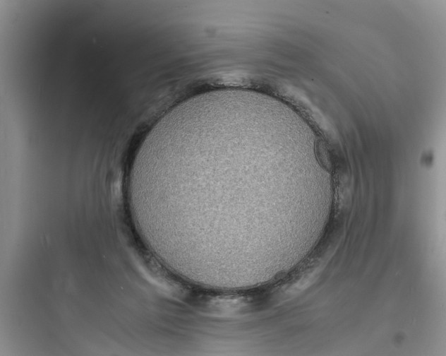 X0000097620213200803211753
