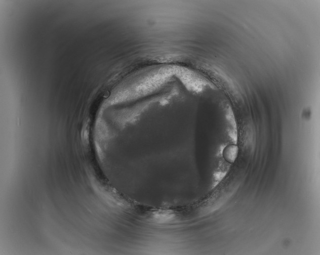 X0000097620214200803211753