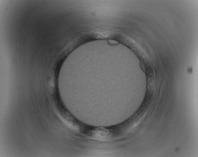 X0000097620215200803211753