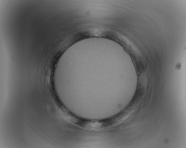 X0000097620217200803211753