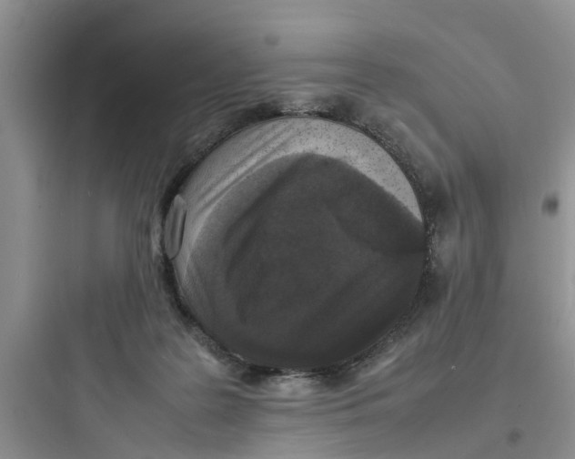 X0000097620219200803211753