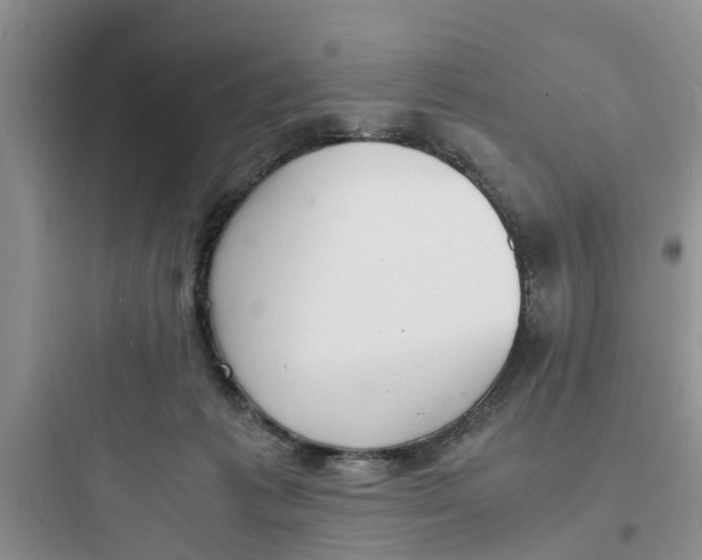 X0000097620221200803211753