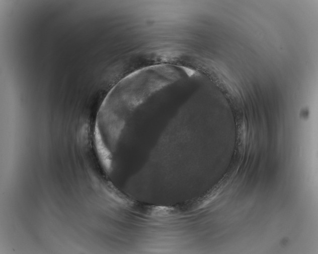 X0000097620222200803211753