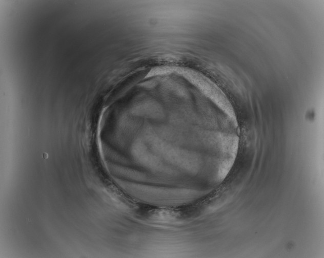X0000097620223200803211753