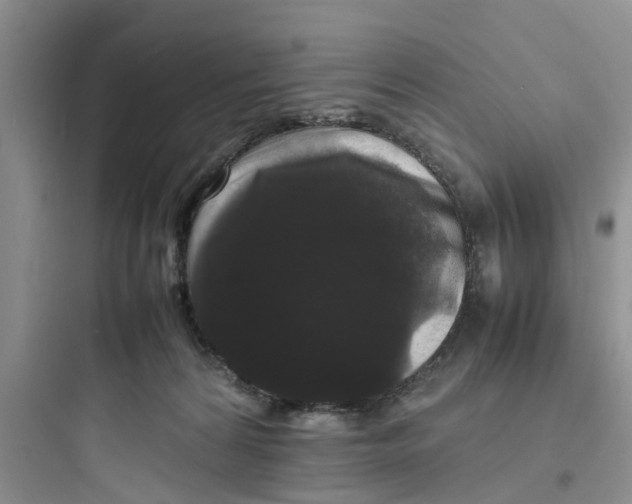 X0000097620224200803211753