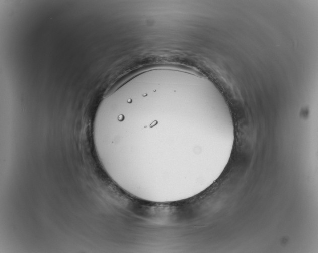 X0000097620225200803211753