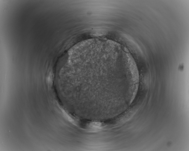 X0000097620227200803211753
