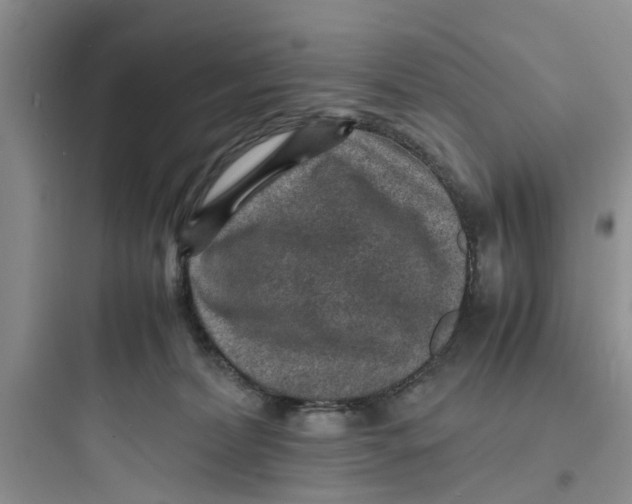 X0000097620228200803211753