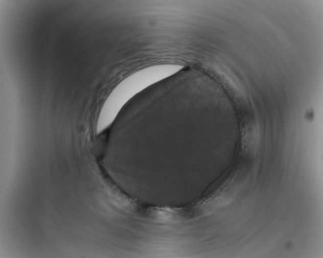 X0000097620229200803211753