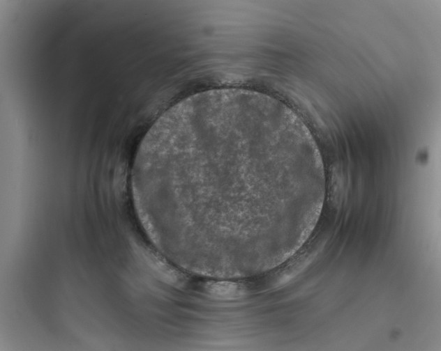 X0000097620230200803211753