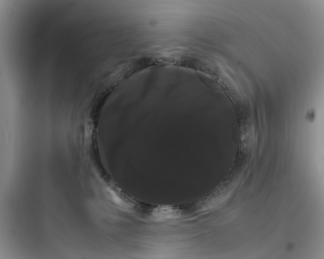 X0000097620231200803211753