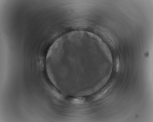 X0000097620232200803211753