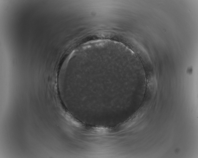 X0000097620233200803211753