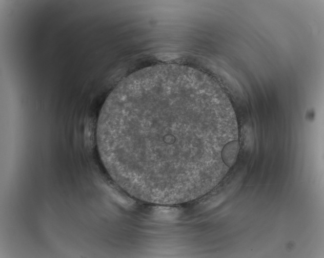 X0000097620234200803211753