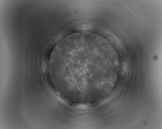 X0000097620236200803211753