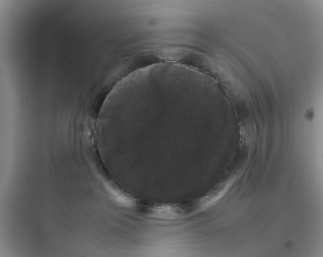 X0000097620237200803211753
