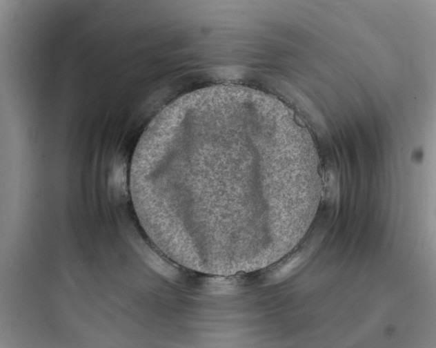 X0000097620238200803211753