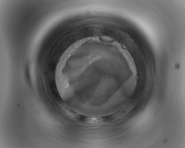 X0000097620239200803211753