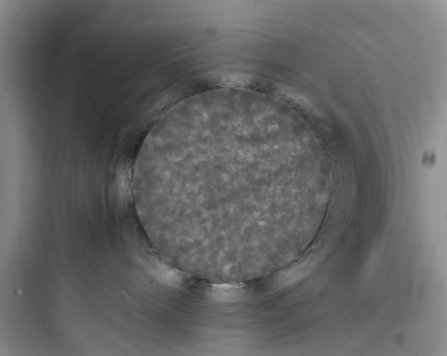 X0000097620240200803211753