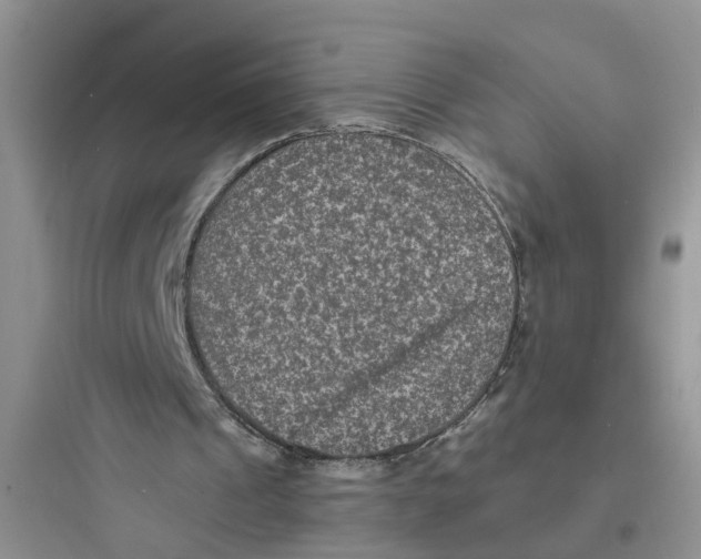 X0000097620241200803211752