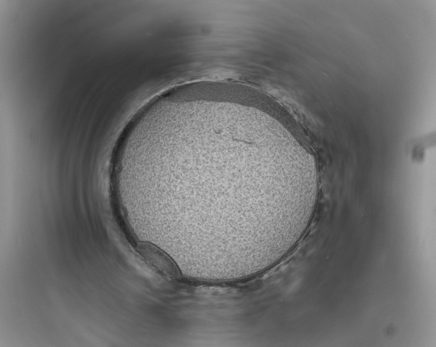 X0000097620242200803211752