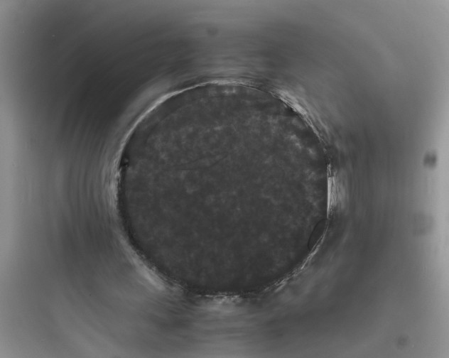 X0000097620243200803211752