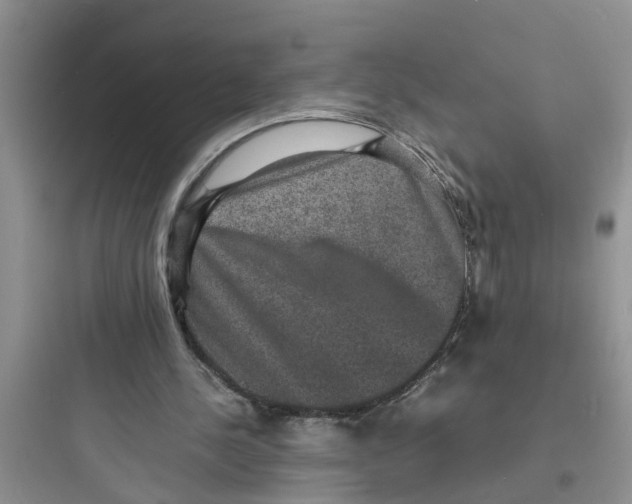 X0000097620244200803211752