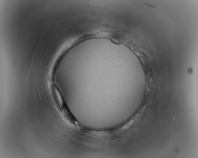 X0000097620245200803211752