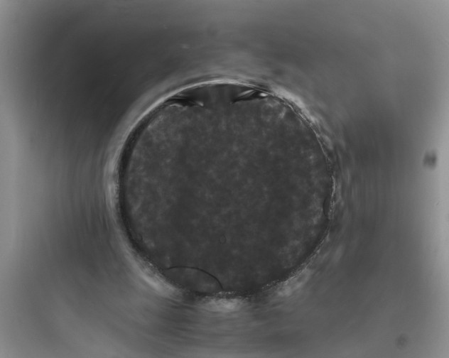 X0000097620247200803211752