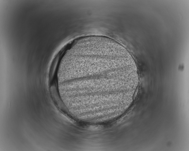 X0000097620248200803211752