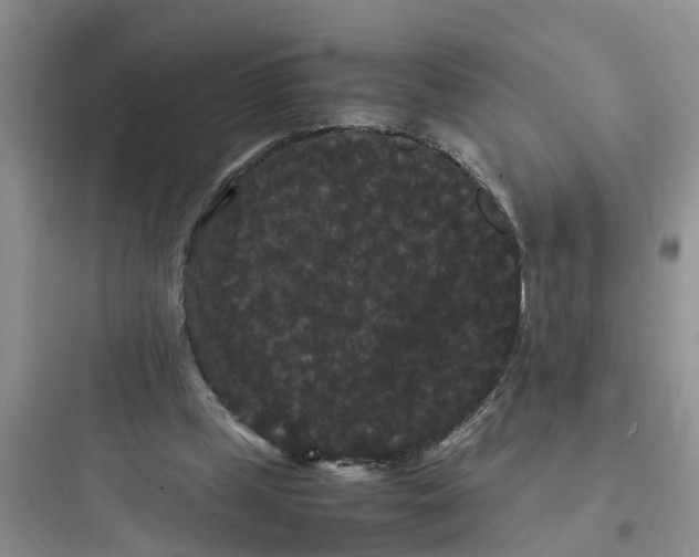 X0000097620249200803211752