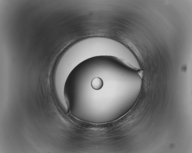 X0000097620251200803211752