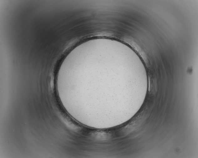 X0000097620253200803211752