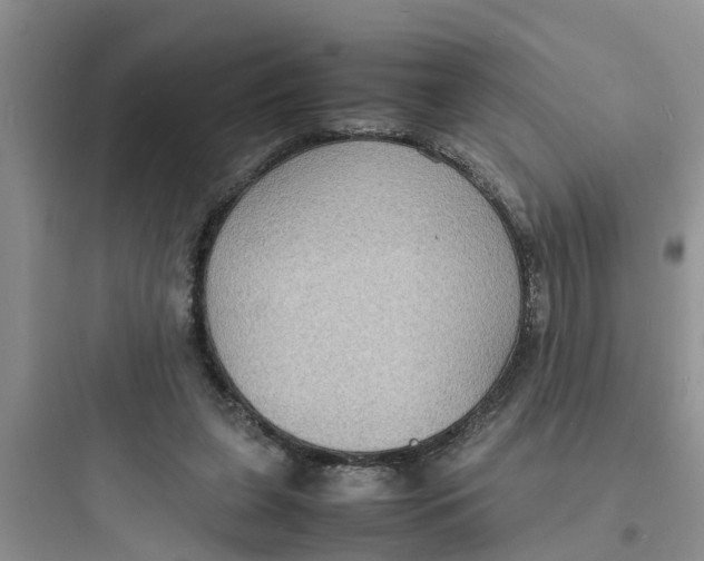 X0000097620255200803211752